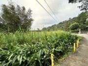 照片房屋-埔里廣鑫房產 魚池美農地 主打物件照片